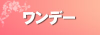 ワンデー瞳にずっと輝きを毎日使い捨てなので清潔