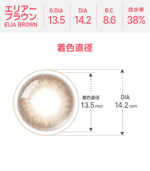 【期間選択/乱視用】 プライム・エリア ブラウン4